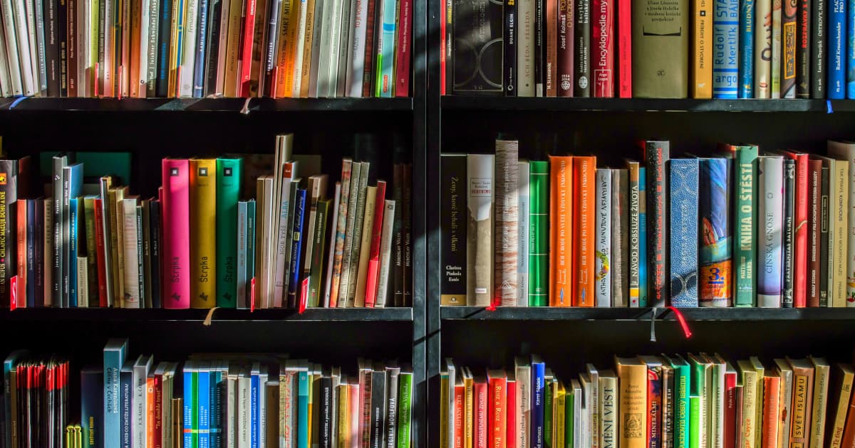 BookTrib’s Bites: What We Survive, What We Become
